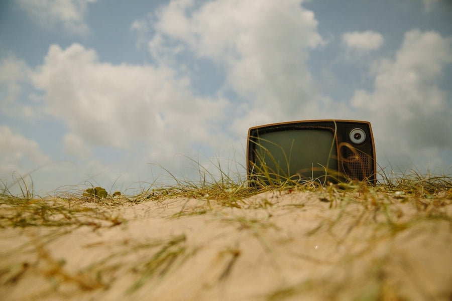 What Graduating Seniors Can Learn From Cartoons
