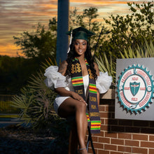 Load image into Gallery viewer, FAMU kente stole
